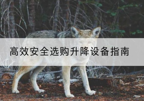 郓城升降货梯厂家推荐-*安全选购升降设备指南