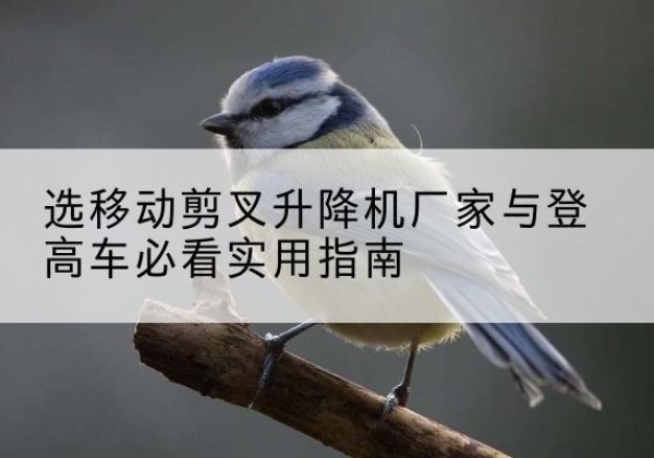 郓城电动升降机厂家-选移动剪叉升降机厂家与登高车必看实用指南