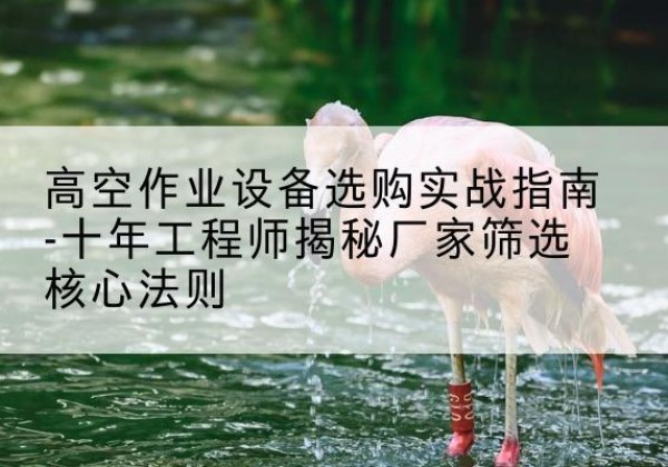 郓城剪叉式升降机厂家-高空作业设备选购实战指南-十年工程师揭秘厂家筛选核心法则